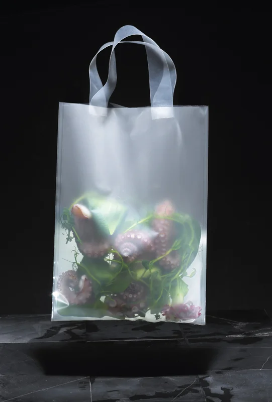 Doggybag-3.jpg