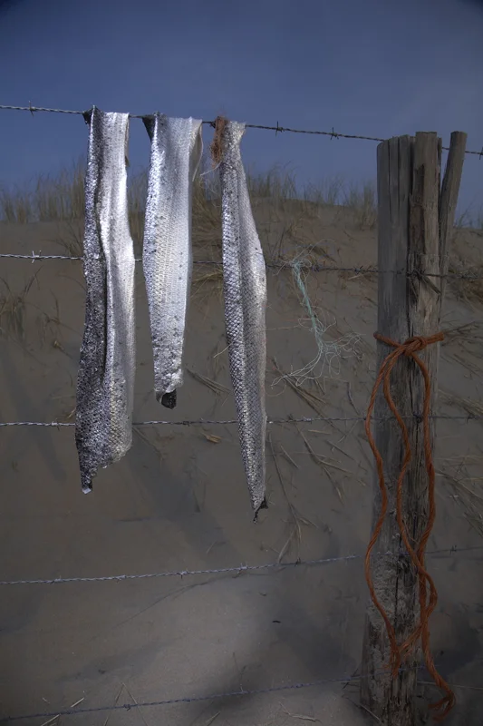 Beach salmon skin.jpg