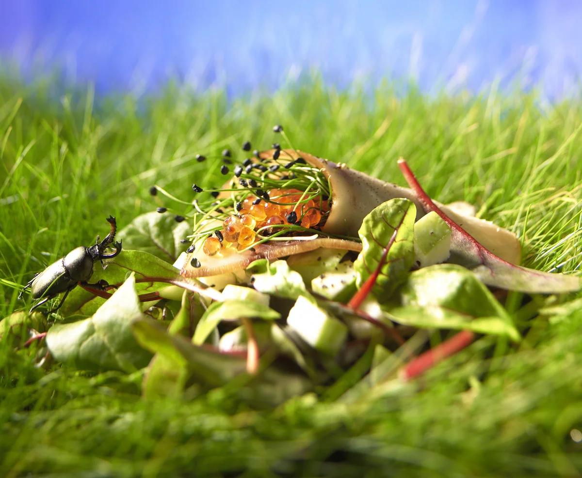 Gras-047676.jpg