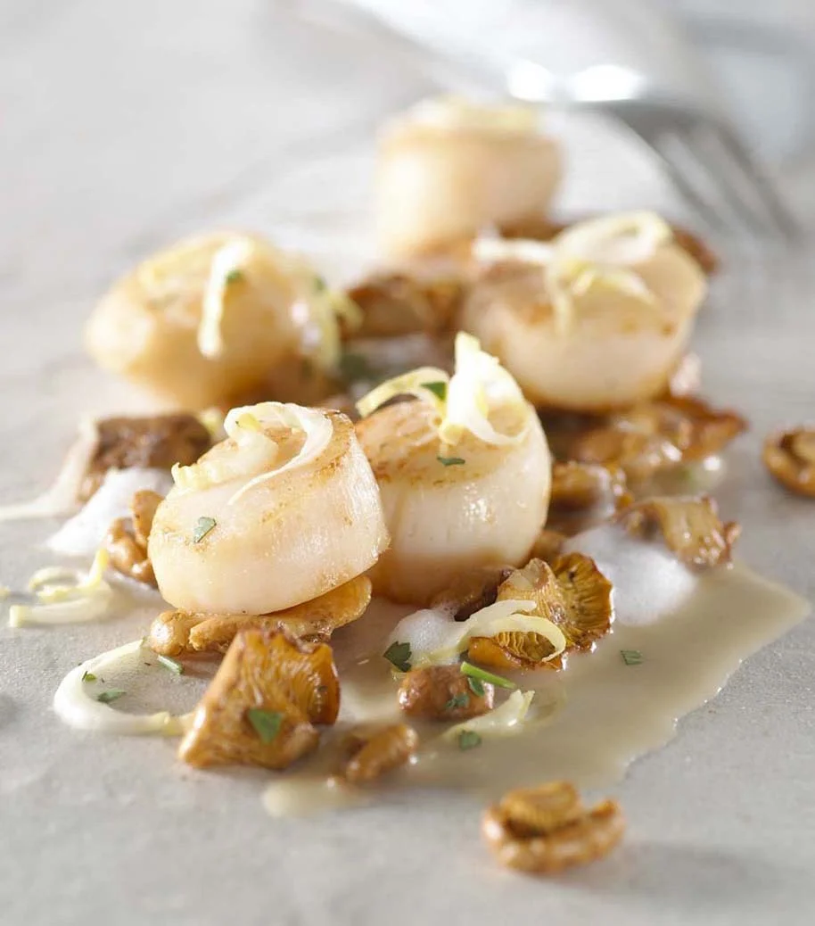 6Coquilles.jpg