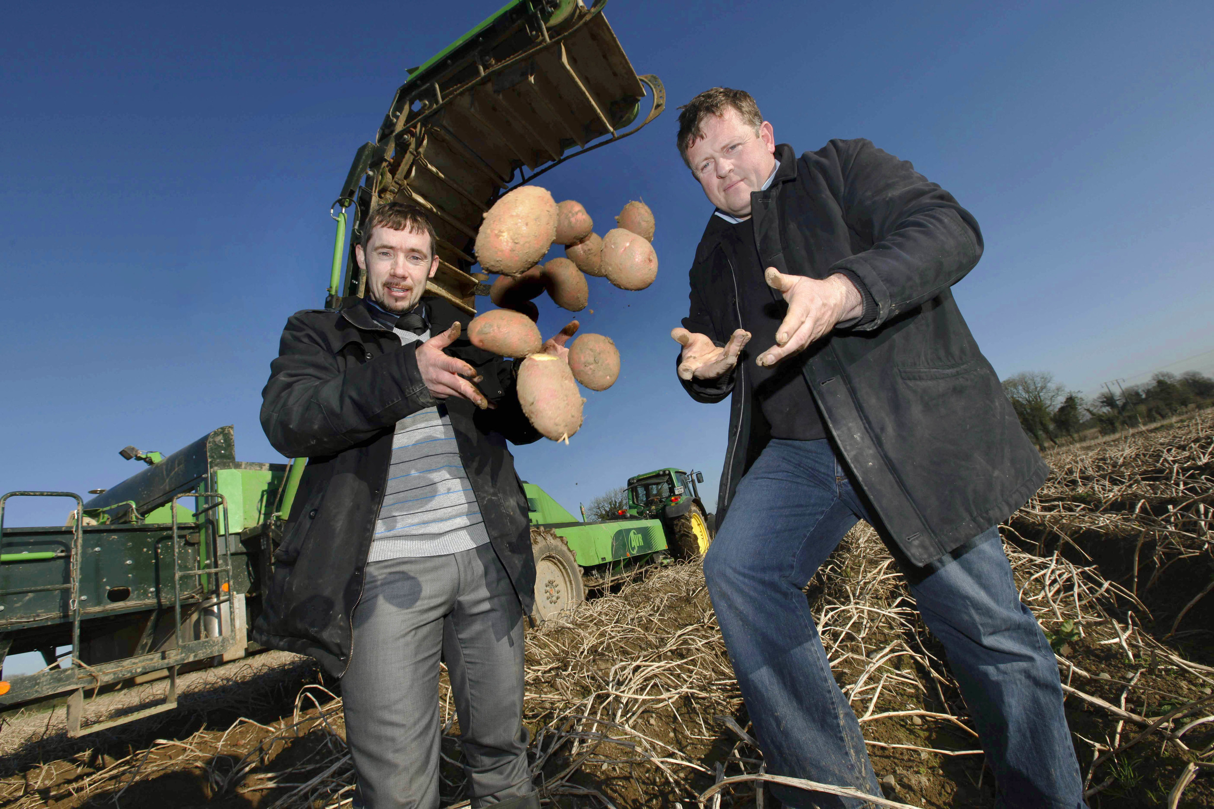  IFA Potato survey launch 