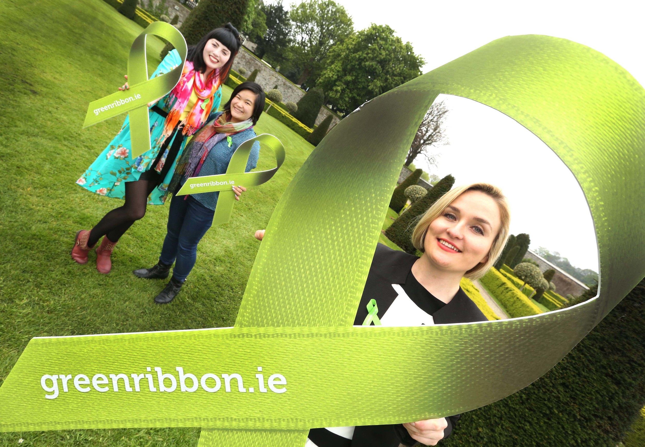  Launch of the See Change green Ribbon campaign 