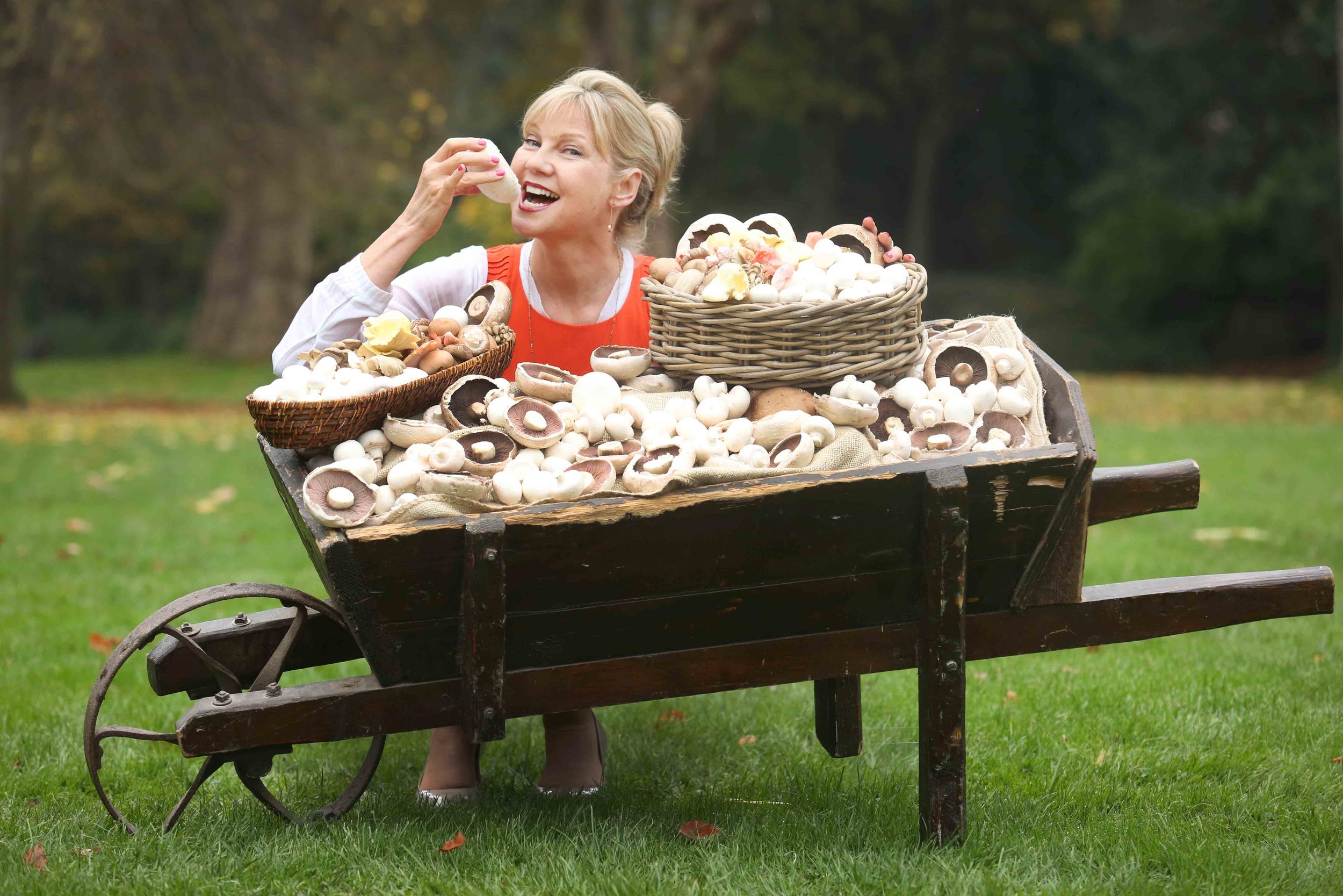  Dietician Paula Mee launches drive to promote nutritional value of Mushrooms for Bord Bia. 