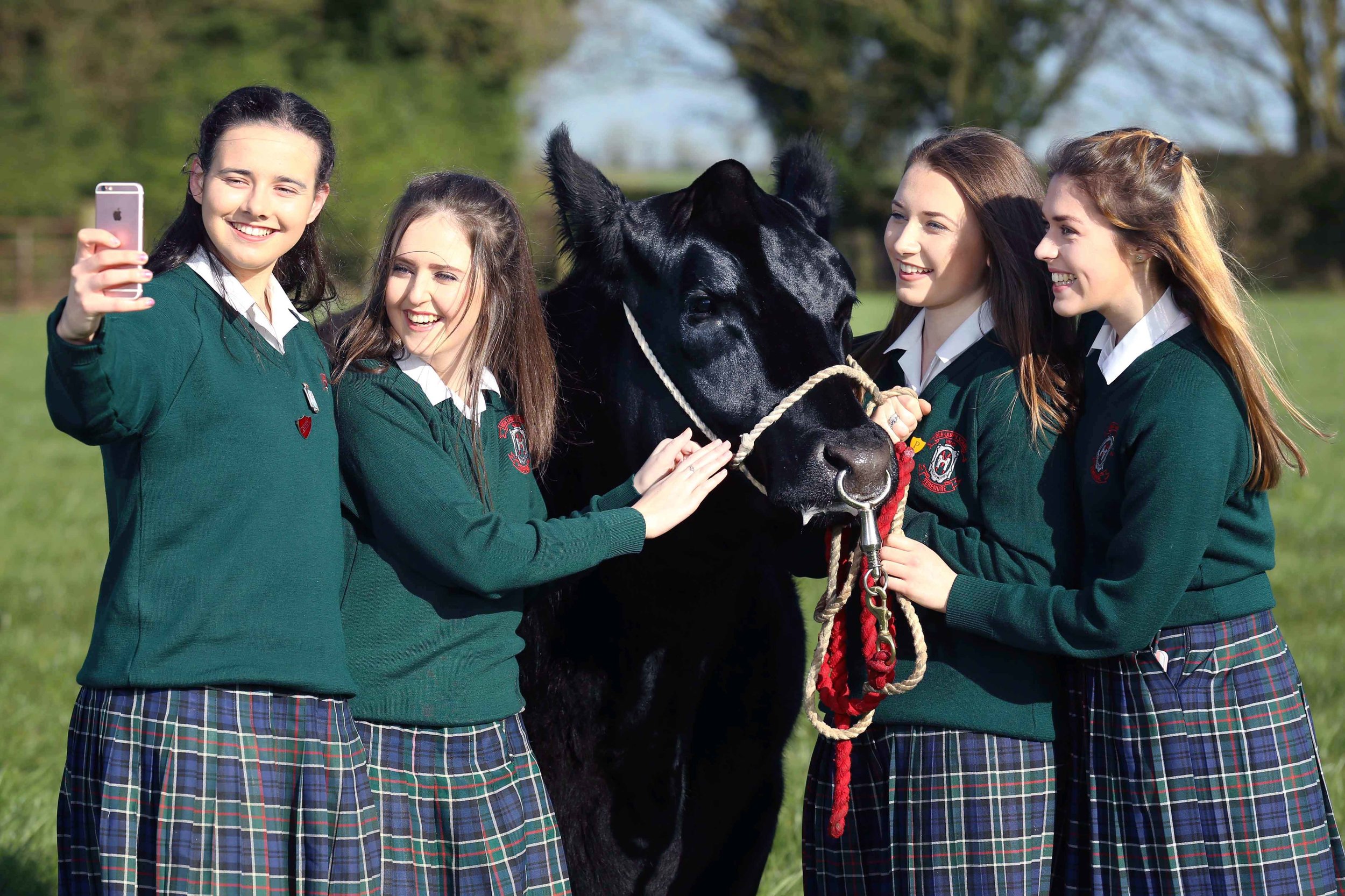  Students from Our Lady’s School, Terenure were announced as the national winners of the Certified Irish Angus Beef schools competition. 