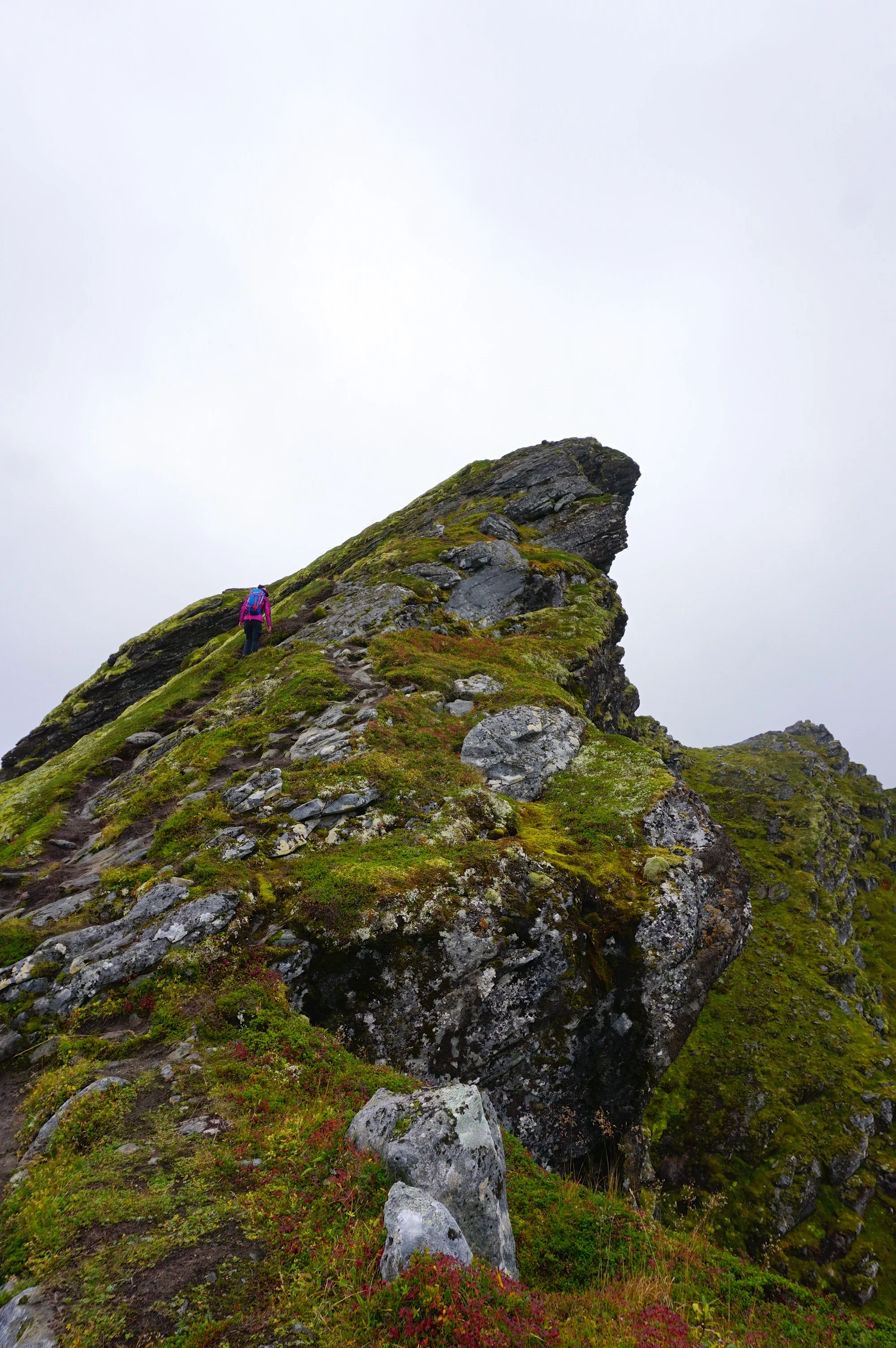 DSC01402.jpg
