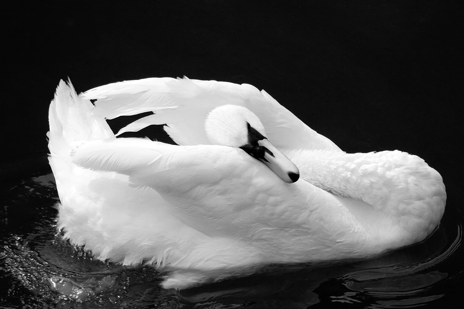 DSC_1577.jpg