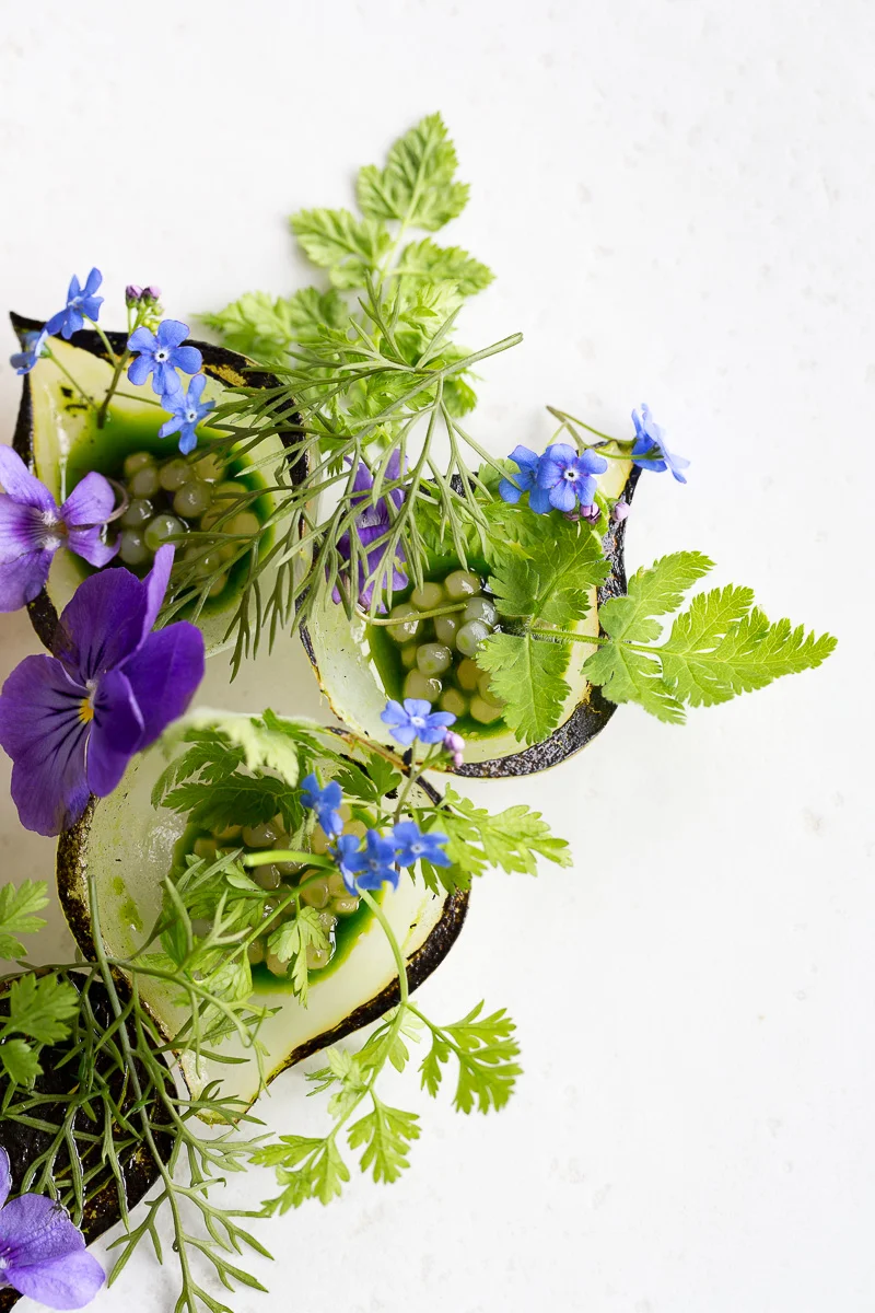 Franck-Hamel-photographe-culinaire-valerie-paumelle-agent-Torsten Vildgaard (1).jpg