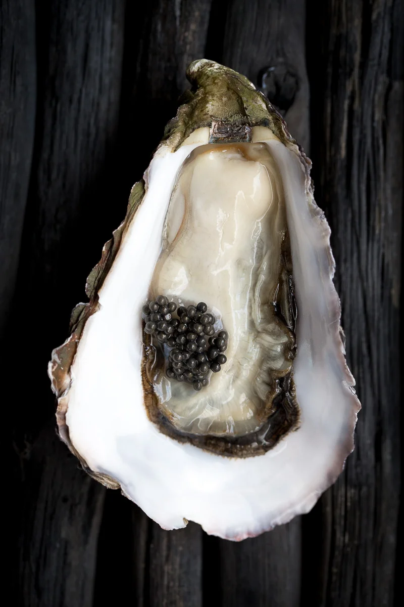 Franck-Hamel-photographe-culinaire-Kei Kobayashi (1).jpg