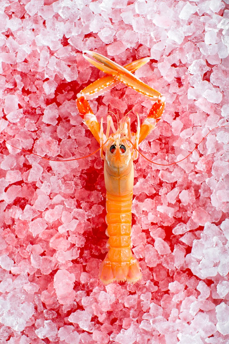 Franck-Hamel-photographe-culinaire-Kei Kobayashi (4).jpg