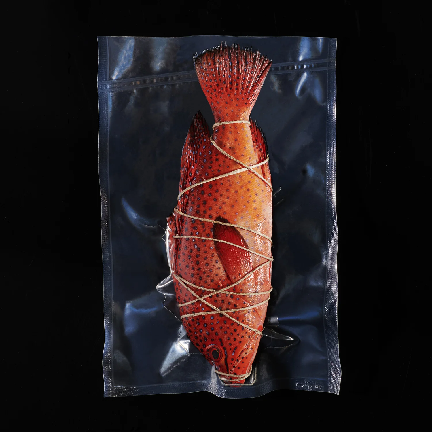 Laurent_Moynat_valerie_paumelle_agent_food_photographeculinaire_foodphotographer (12).jpg