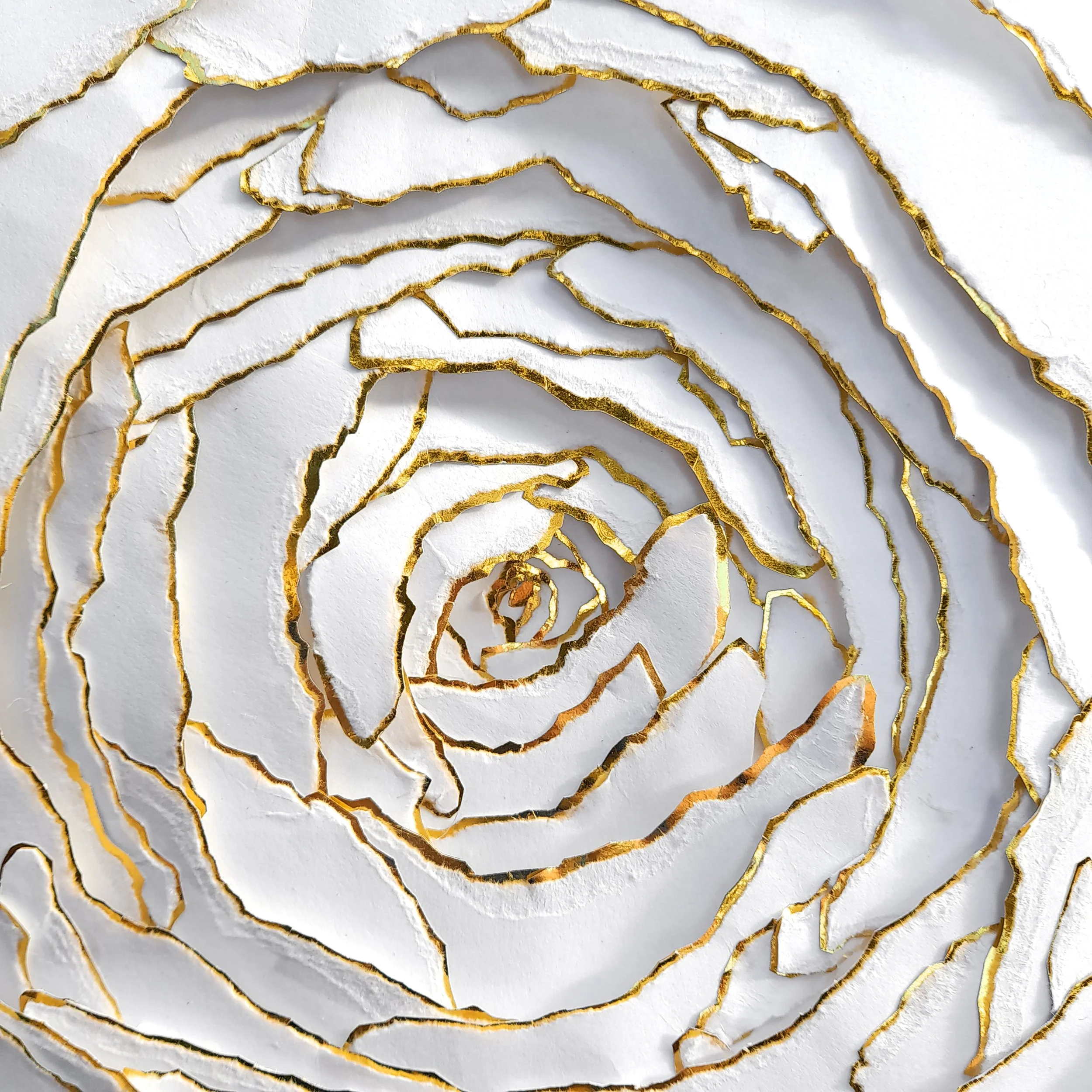 Anna_Normand_paper_artist (13).jpg