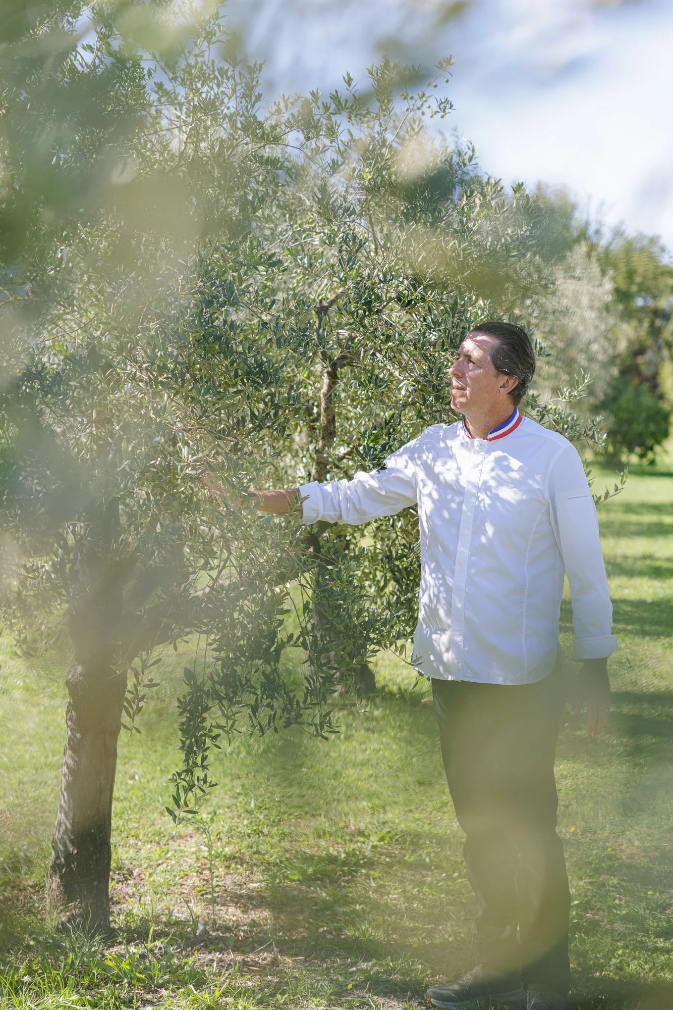 Franck Hamel - Metro 