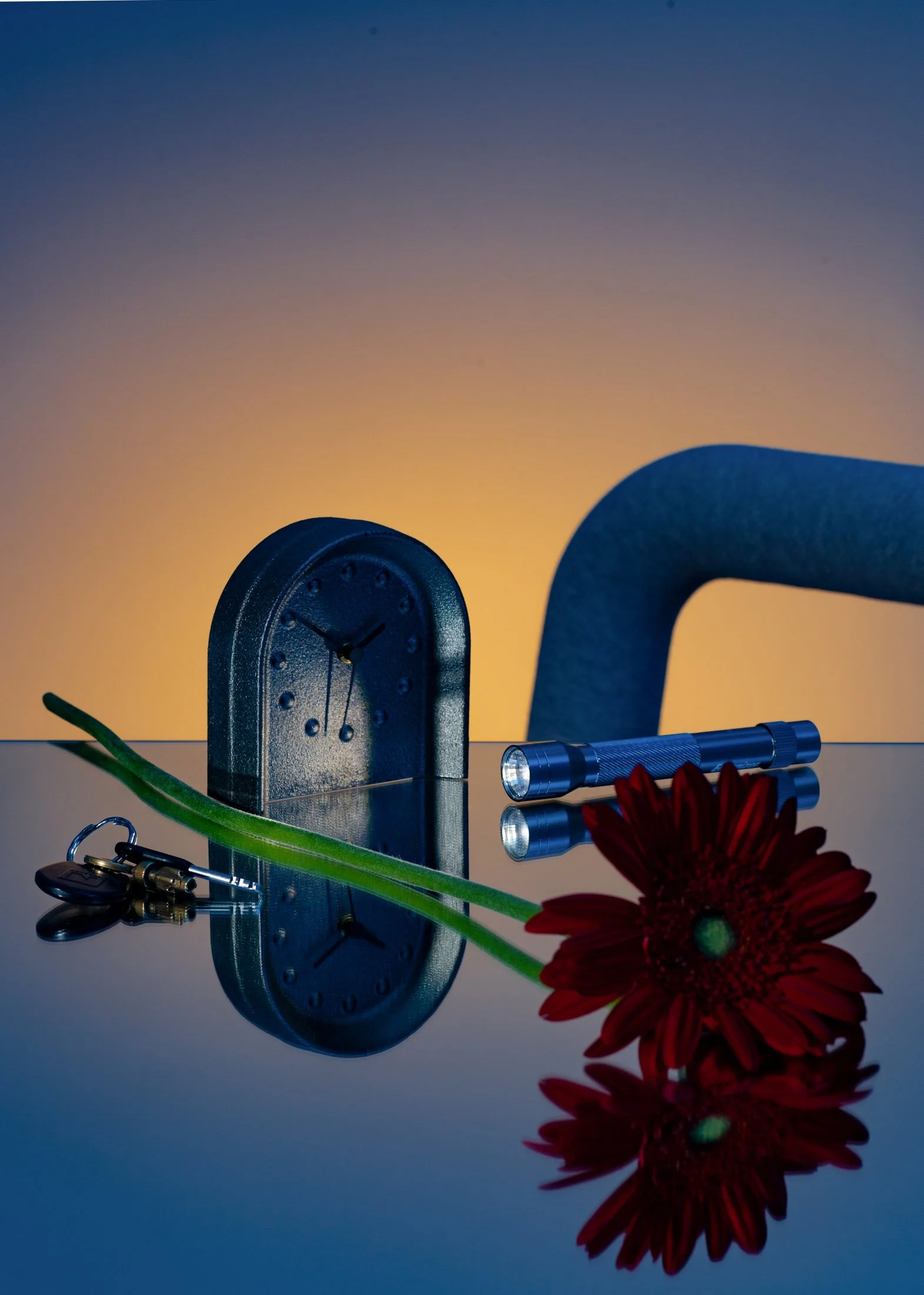 Moustache_Mario_Simon_Lafleur_photographe_interiordesign (3).JPG