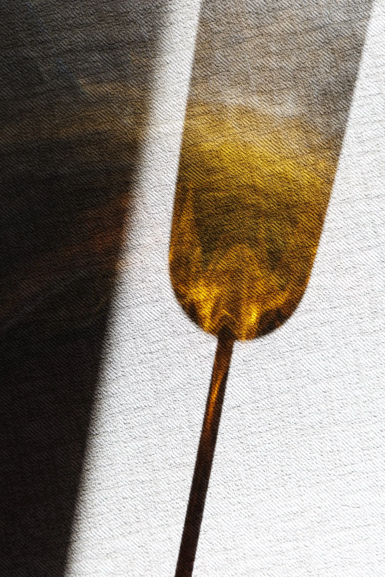 Franck Hamel - Metro Magazine 15h30