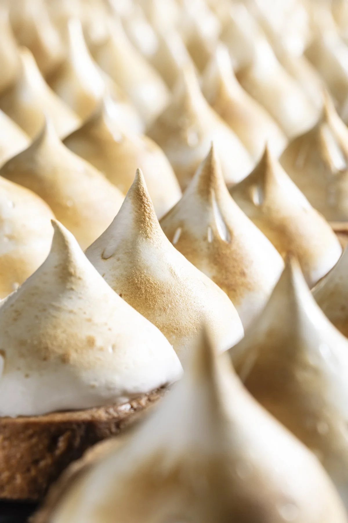 FHA-Brioche-Doree-2A6A9834-2 V3.jpg