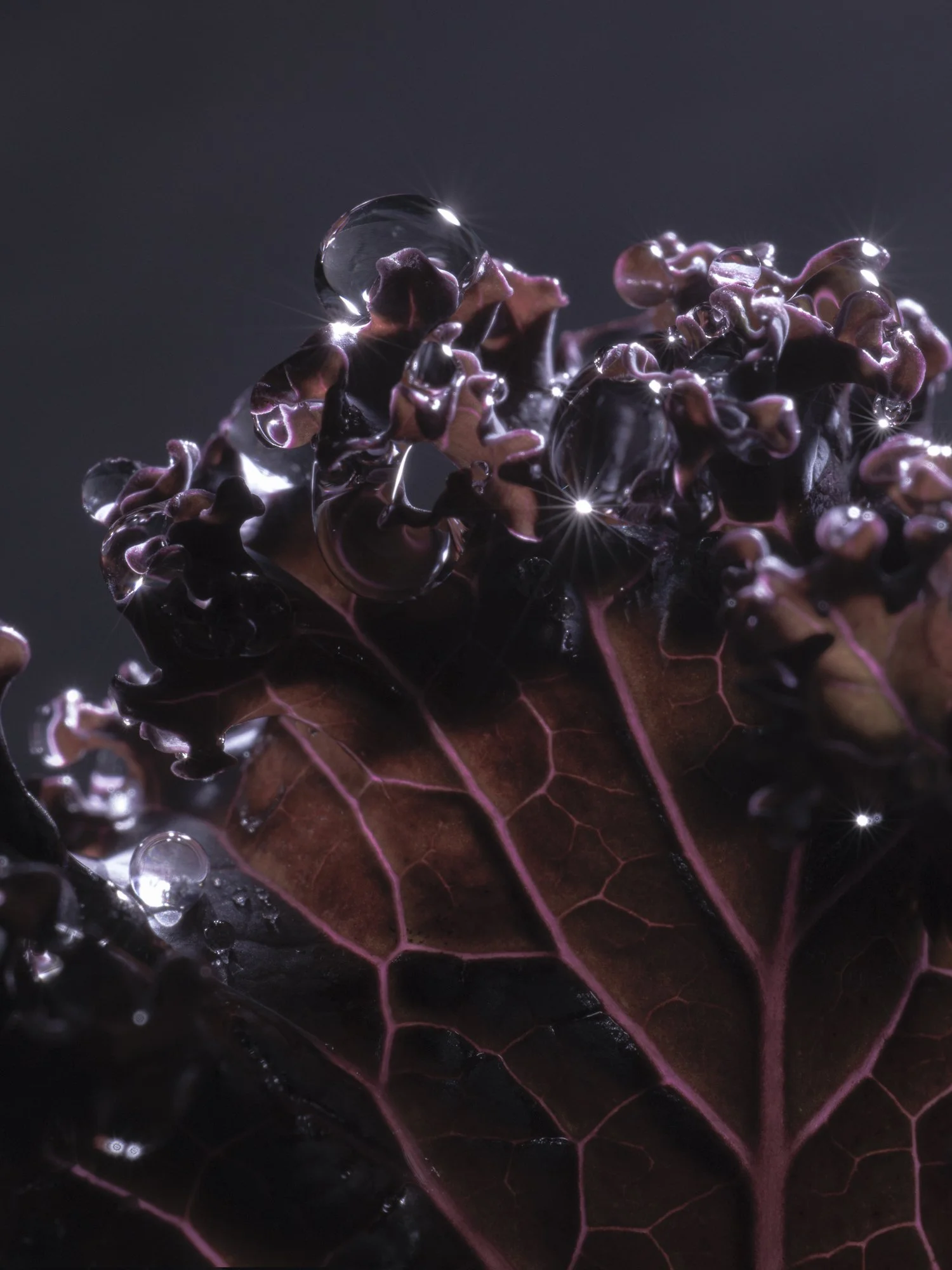 Franck Hamel - Kale fever