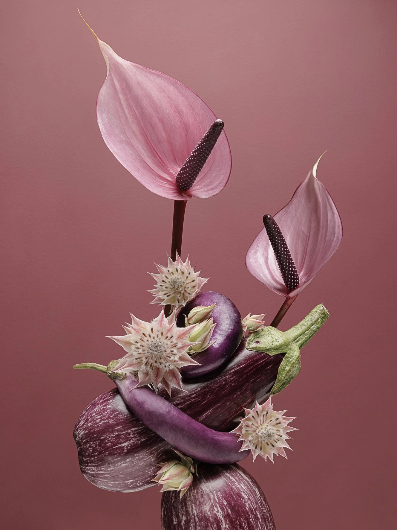 Franck Hamel - Efflorescence