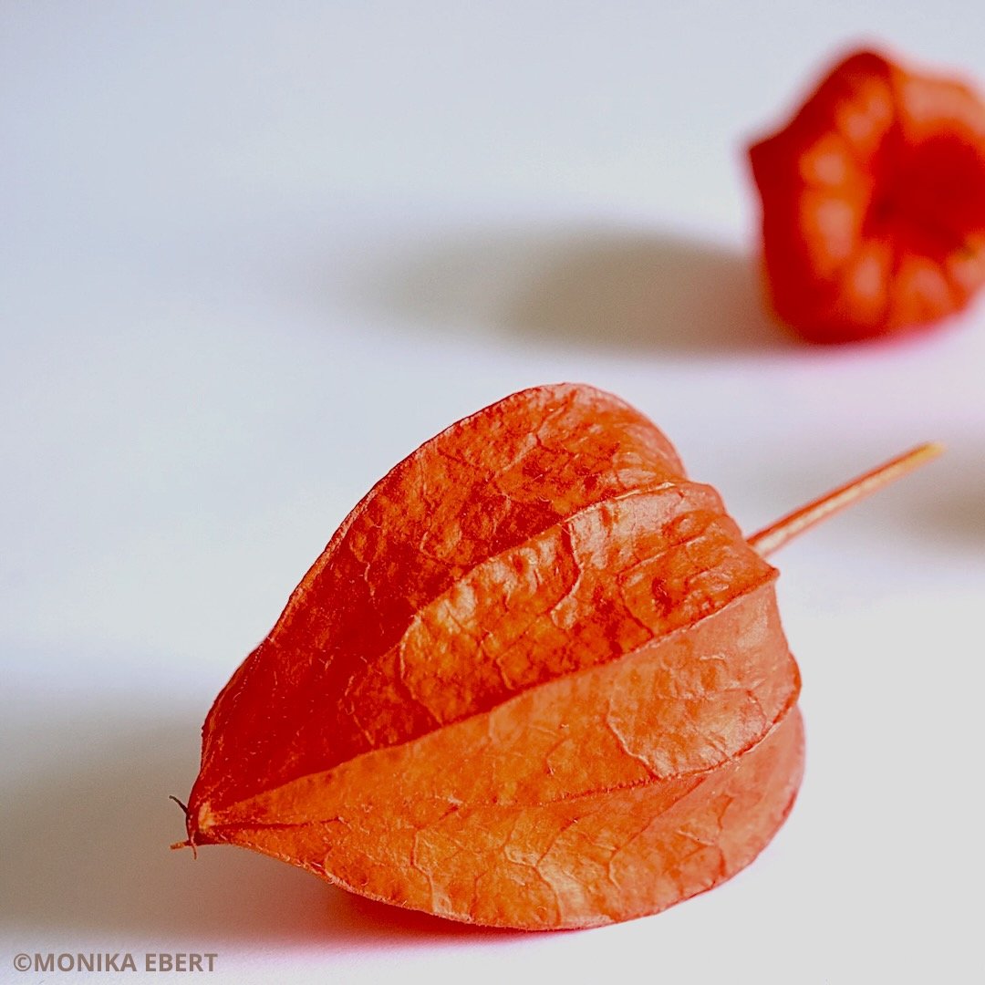 230912_ballon_quader©MONIKA-EBERT - 1.jpeg