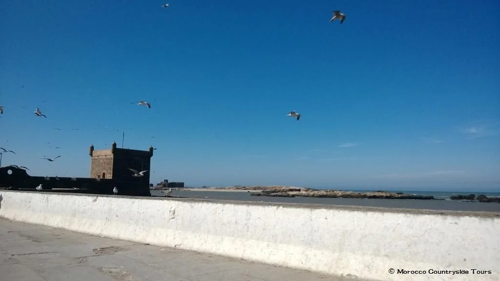 essaouira