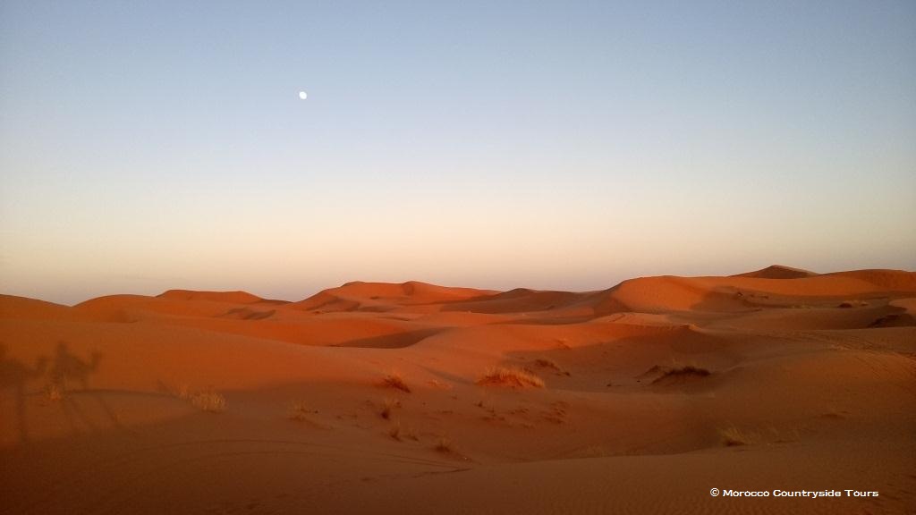 Moon in the desert