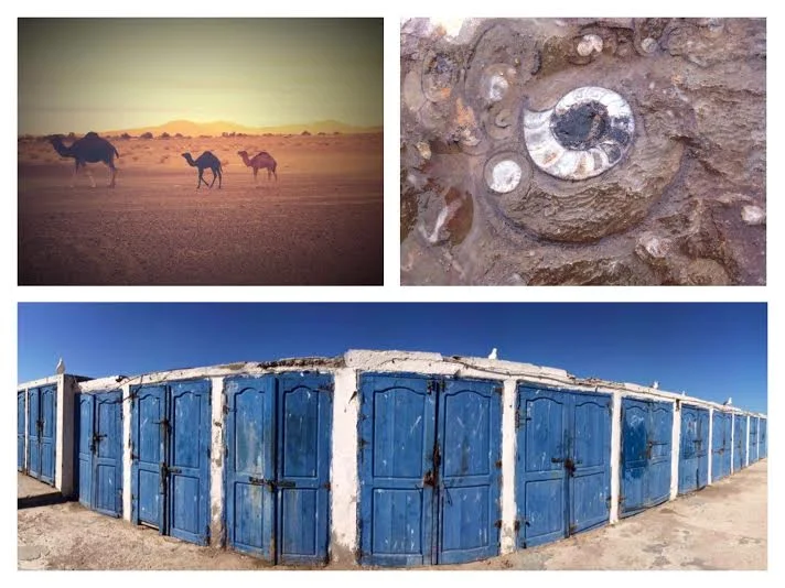 Camel ride and fossils