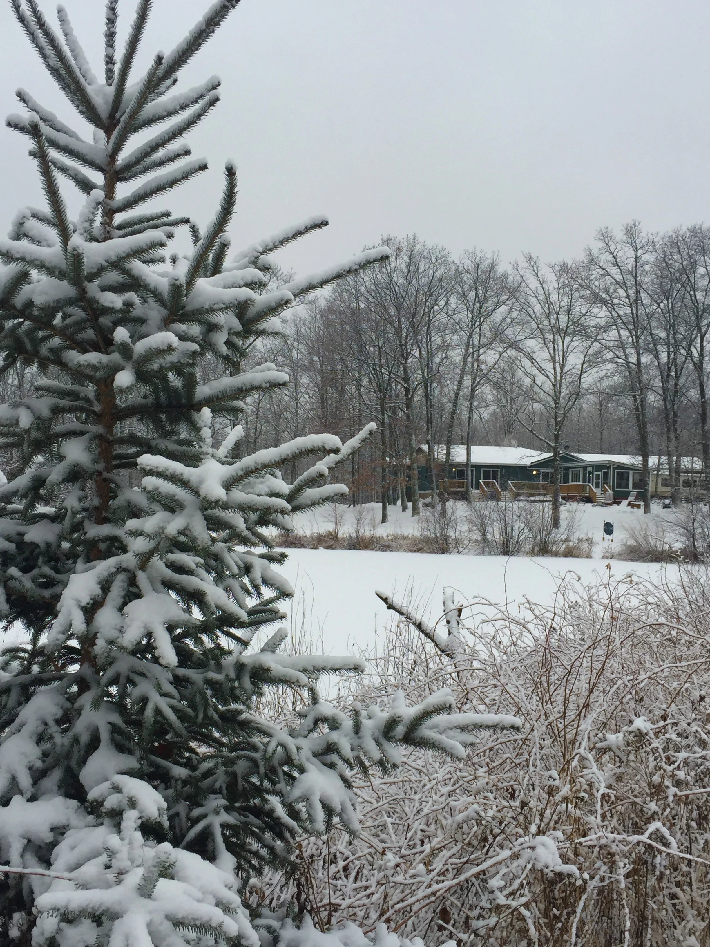 About — The Sanctuary Minnesota