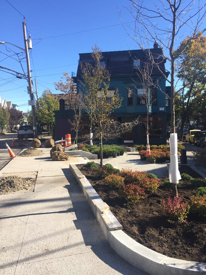  October 2016: Landscaping and trees planted before winter. 