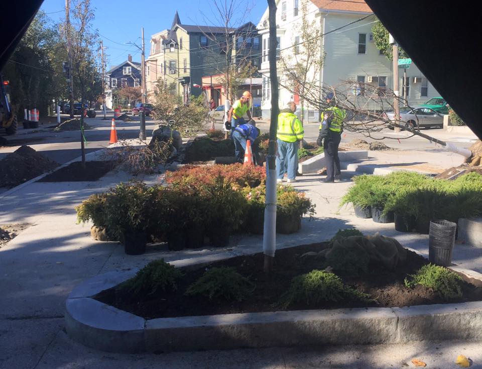  Luongo Square: trees and landscaping installed, October 2016 