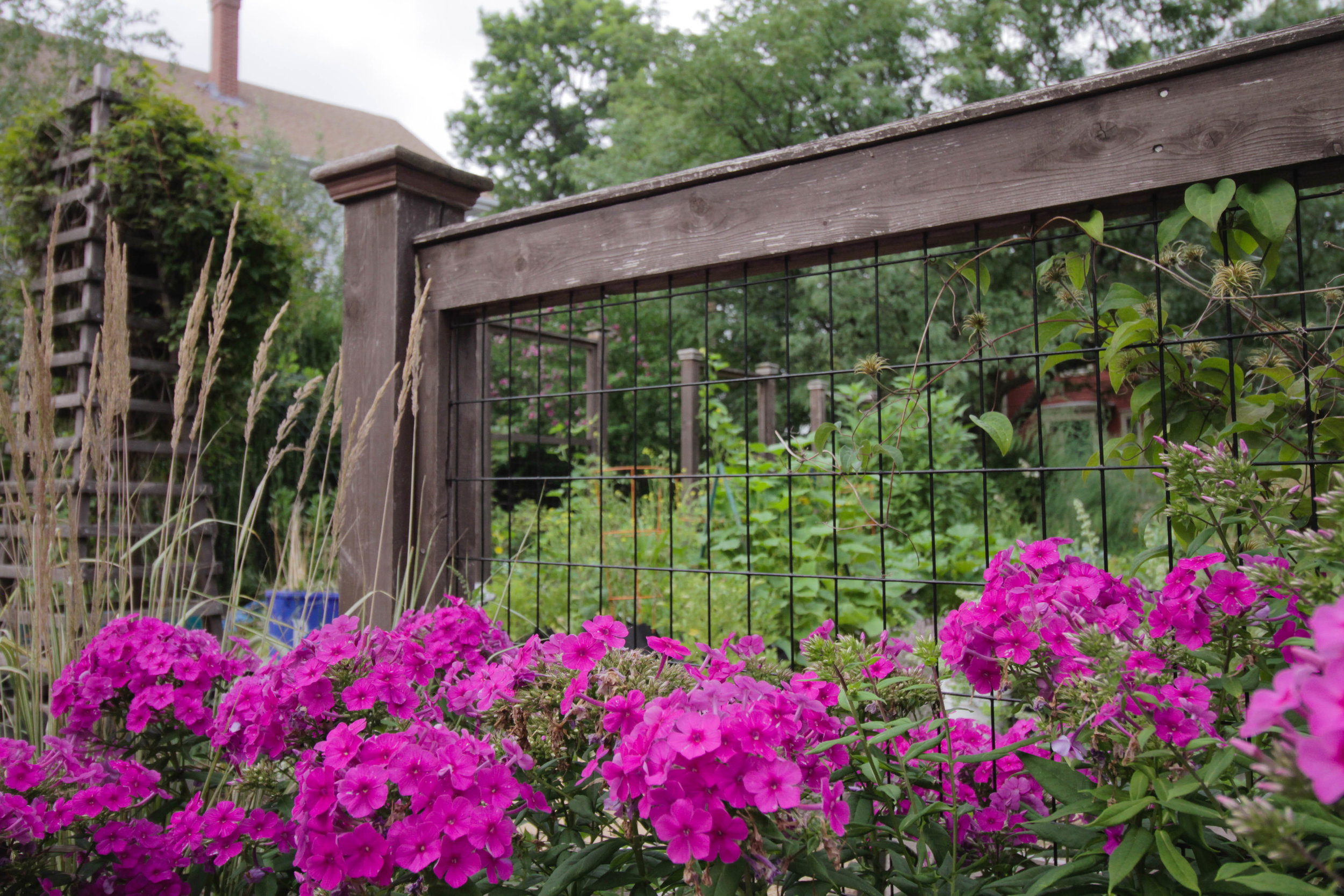   WBNA House Tour    The Gardens at 7 Gilbert Street    Buy Tickets  