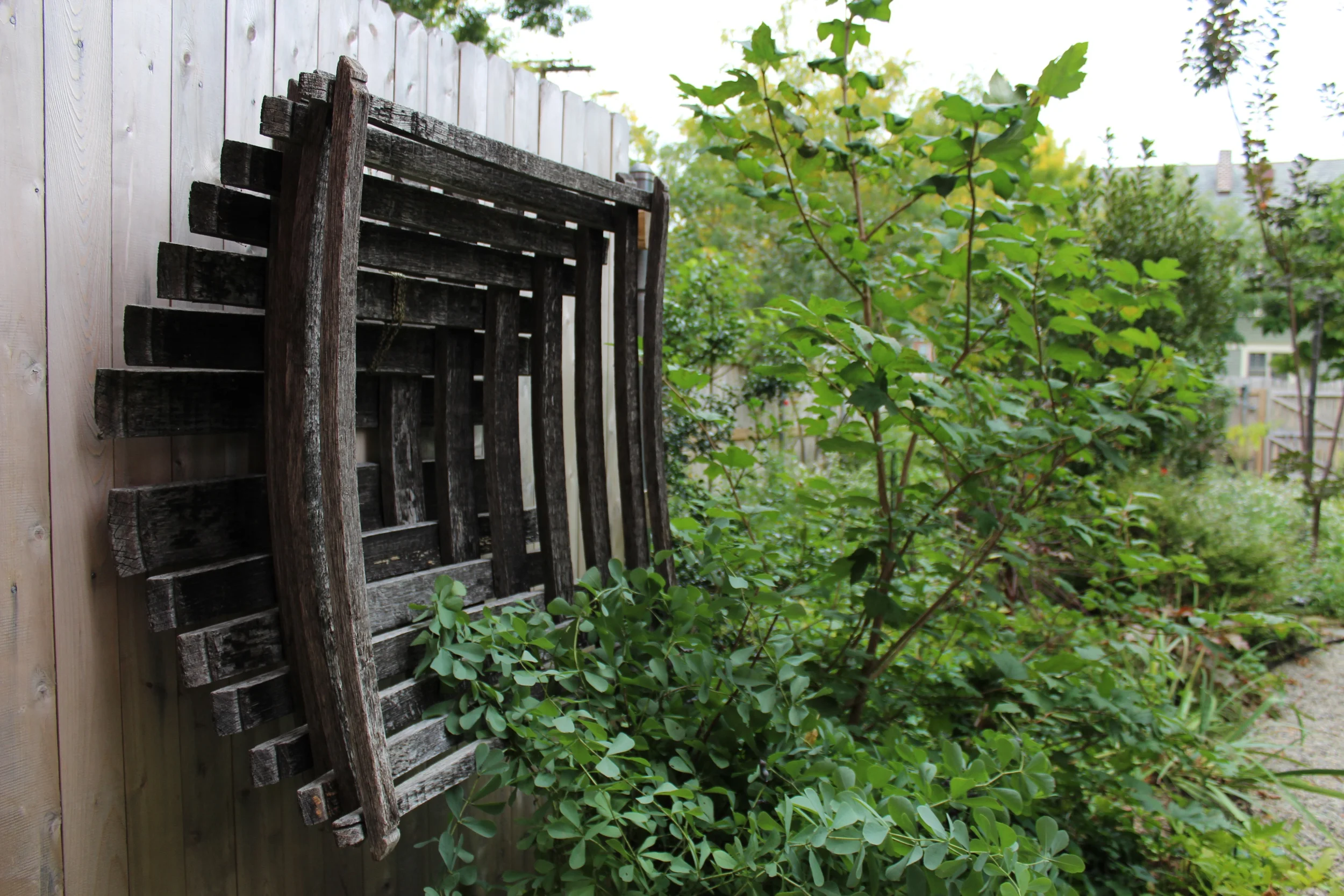 Garden on Hammond Street Photo by Jessica Jennings