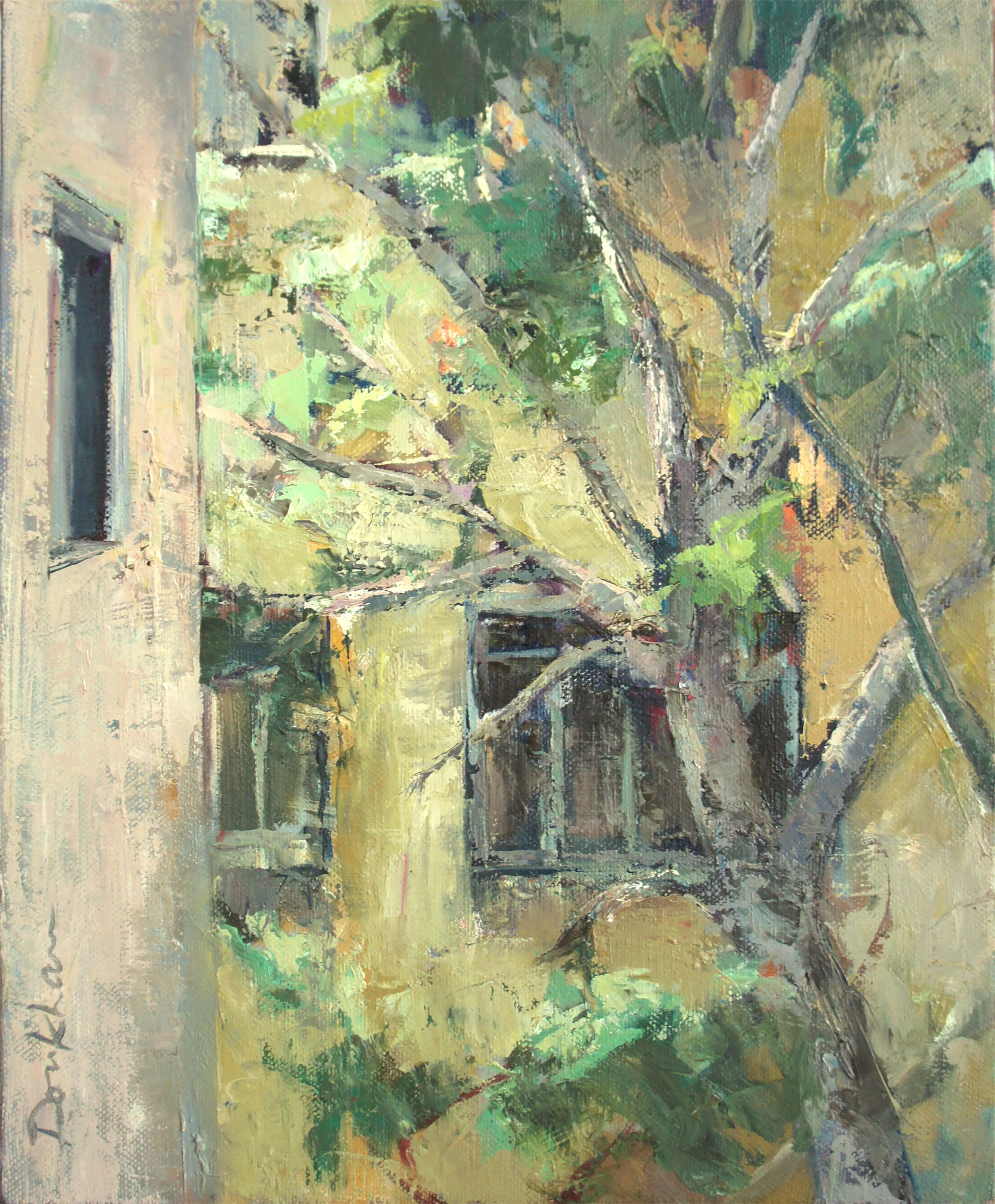 Tree in Town 46 38 2012.JPG