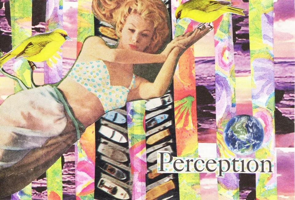MuseCard-Perception.jpg