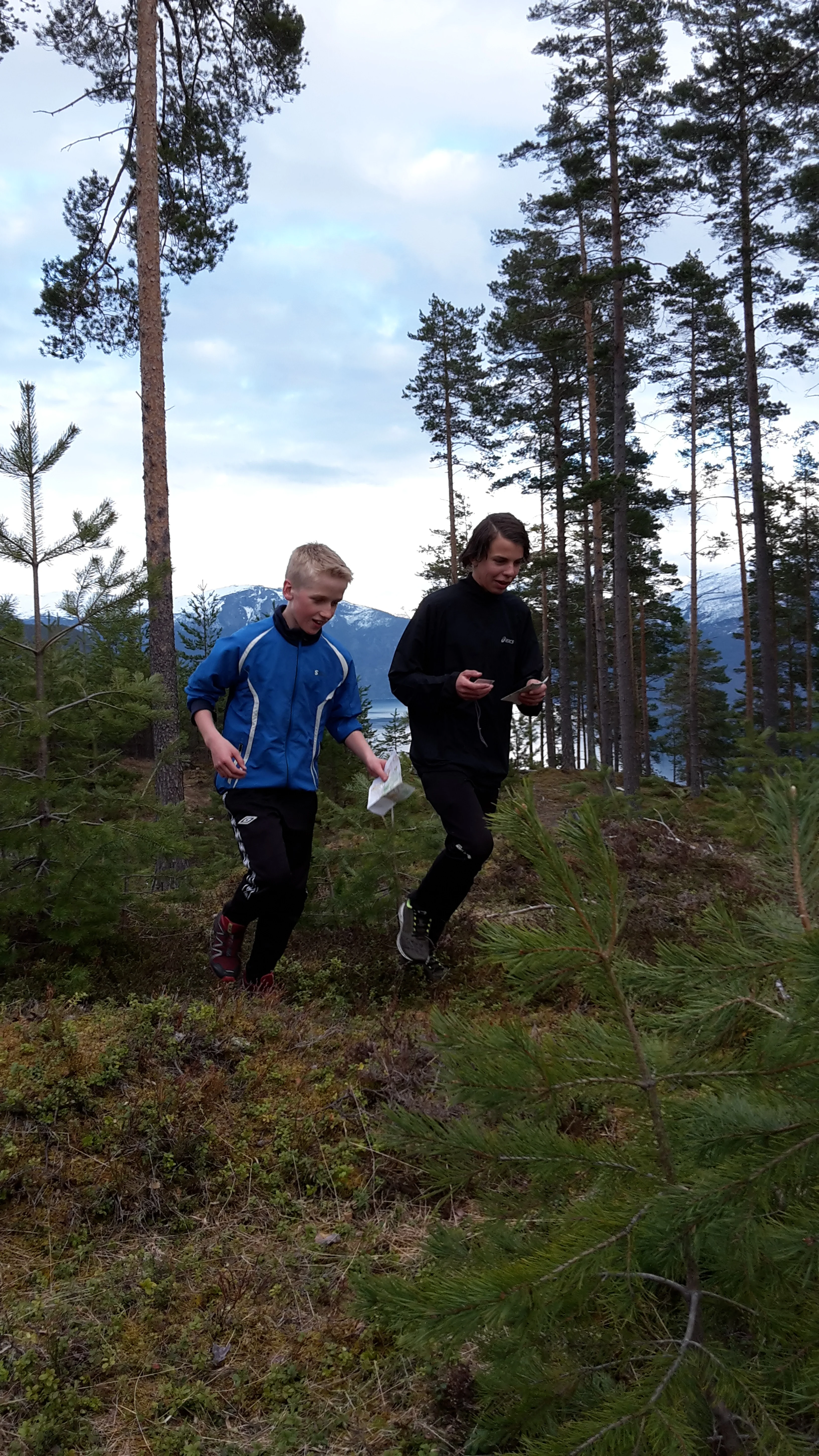 Spreke o-løparar og speidarar i fint driv i skogen.
