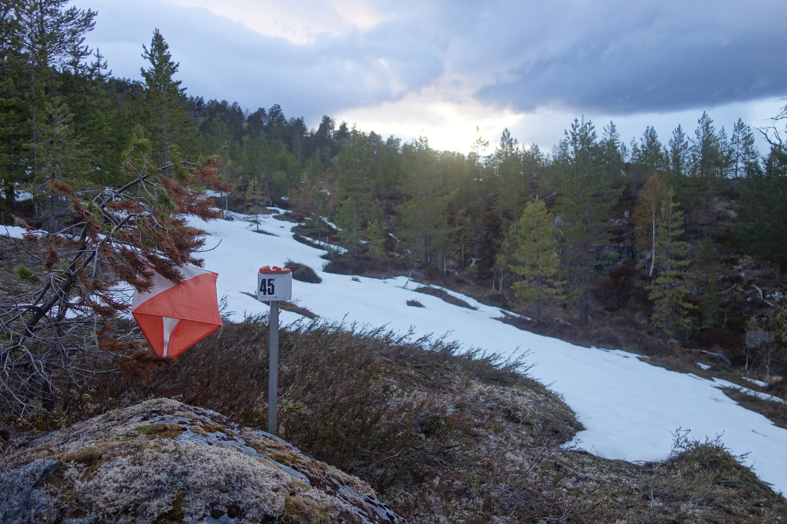 Resultat o-løp 26. mai