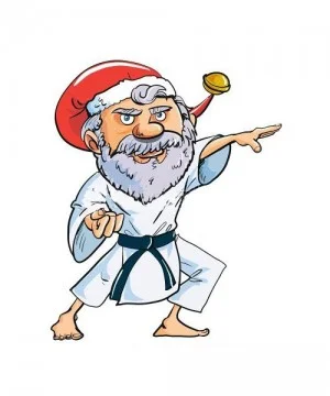 Juleferie for Taekwondo