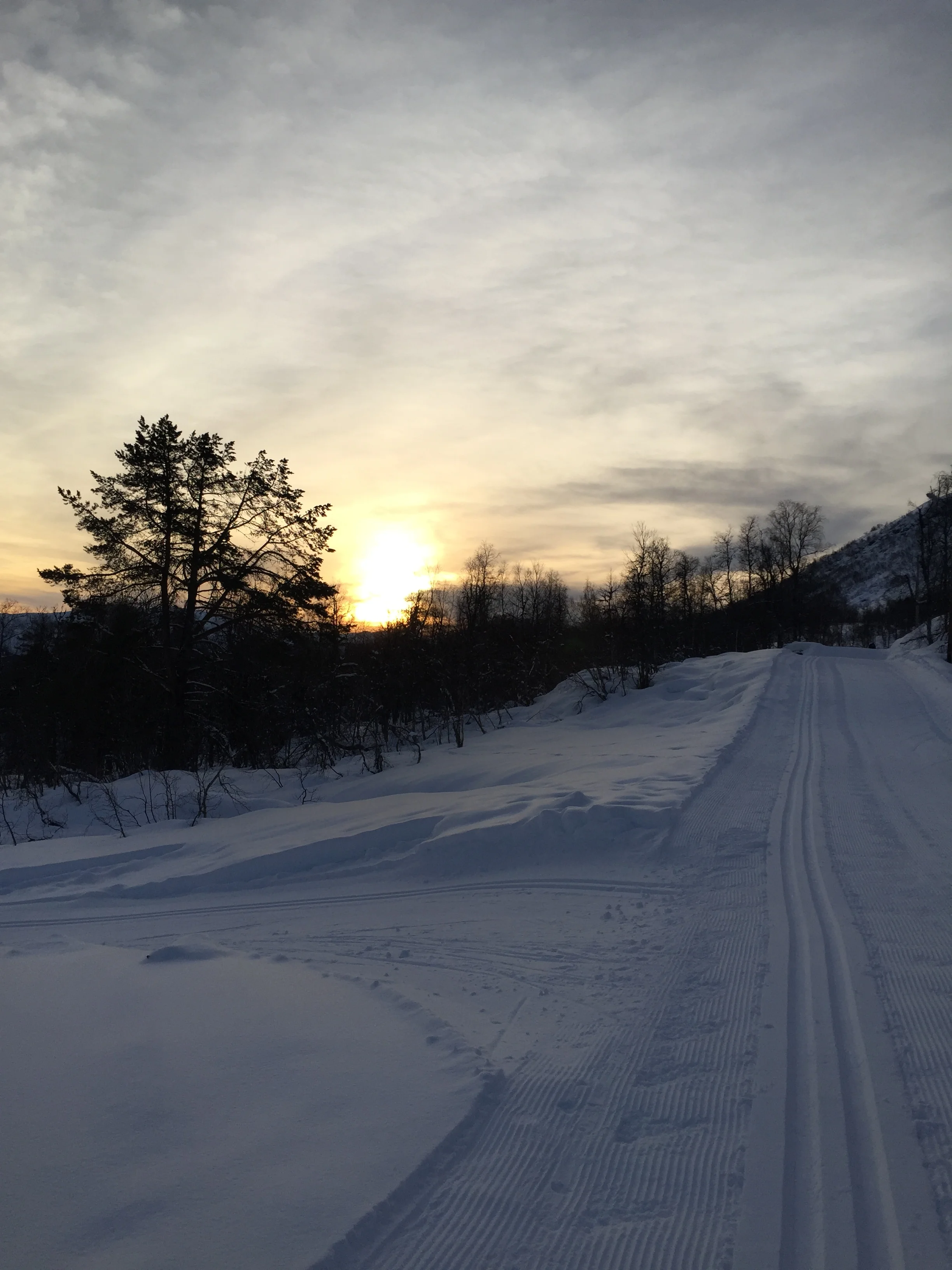 Barneidretten - informasjon om oppstart etter jul!