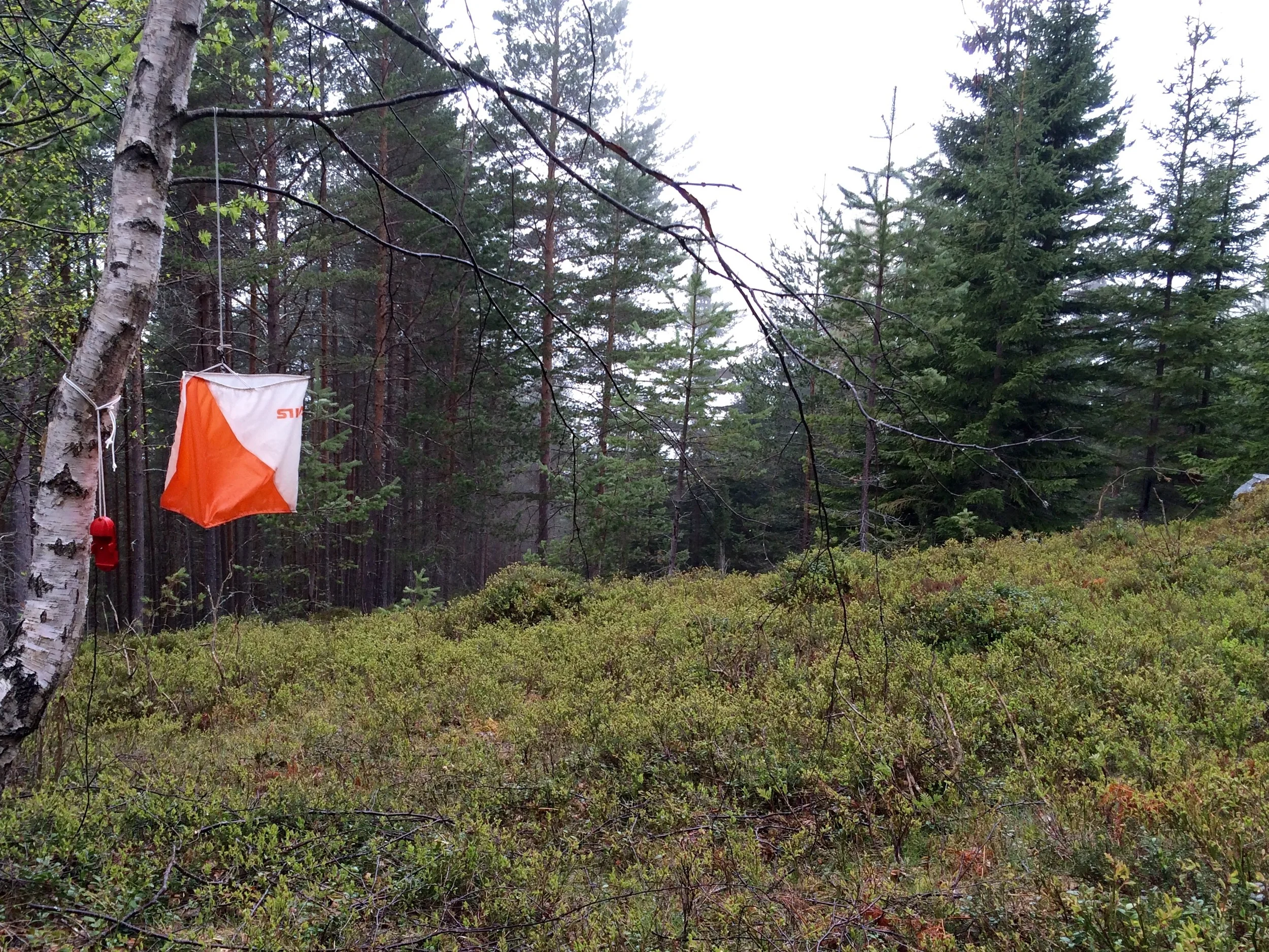 Orientering 18. mai