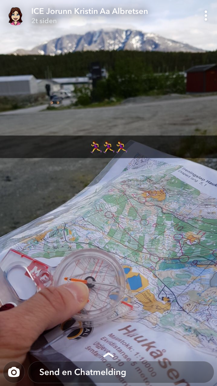 O-løp Haukåsen 2019-06-12