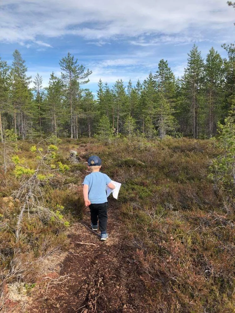 O-løp Storamyri 2.juni