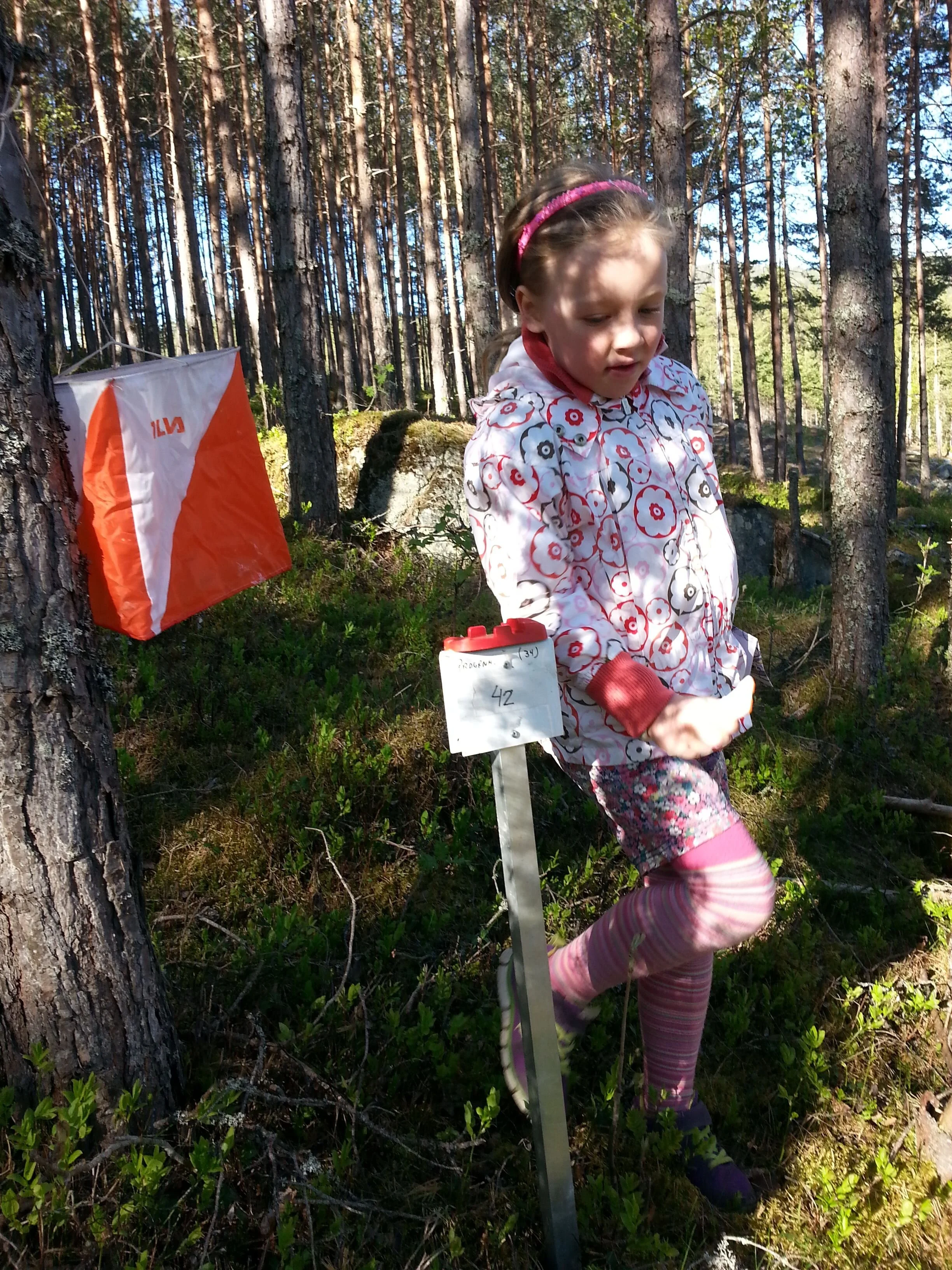 O-løp Museet 1.september