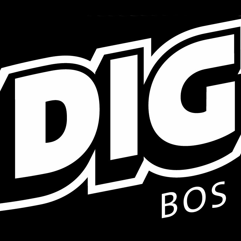 Dig-Boston_logo.jpg