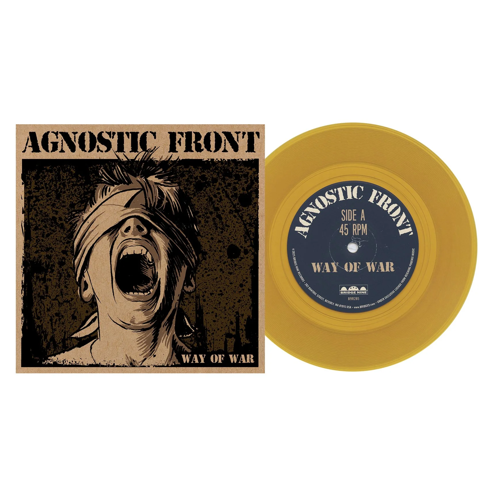 B9R285_1stPress_100_clear-gold_Coretex_discography.jpg