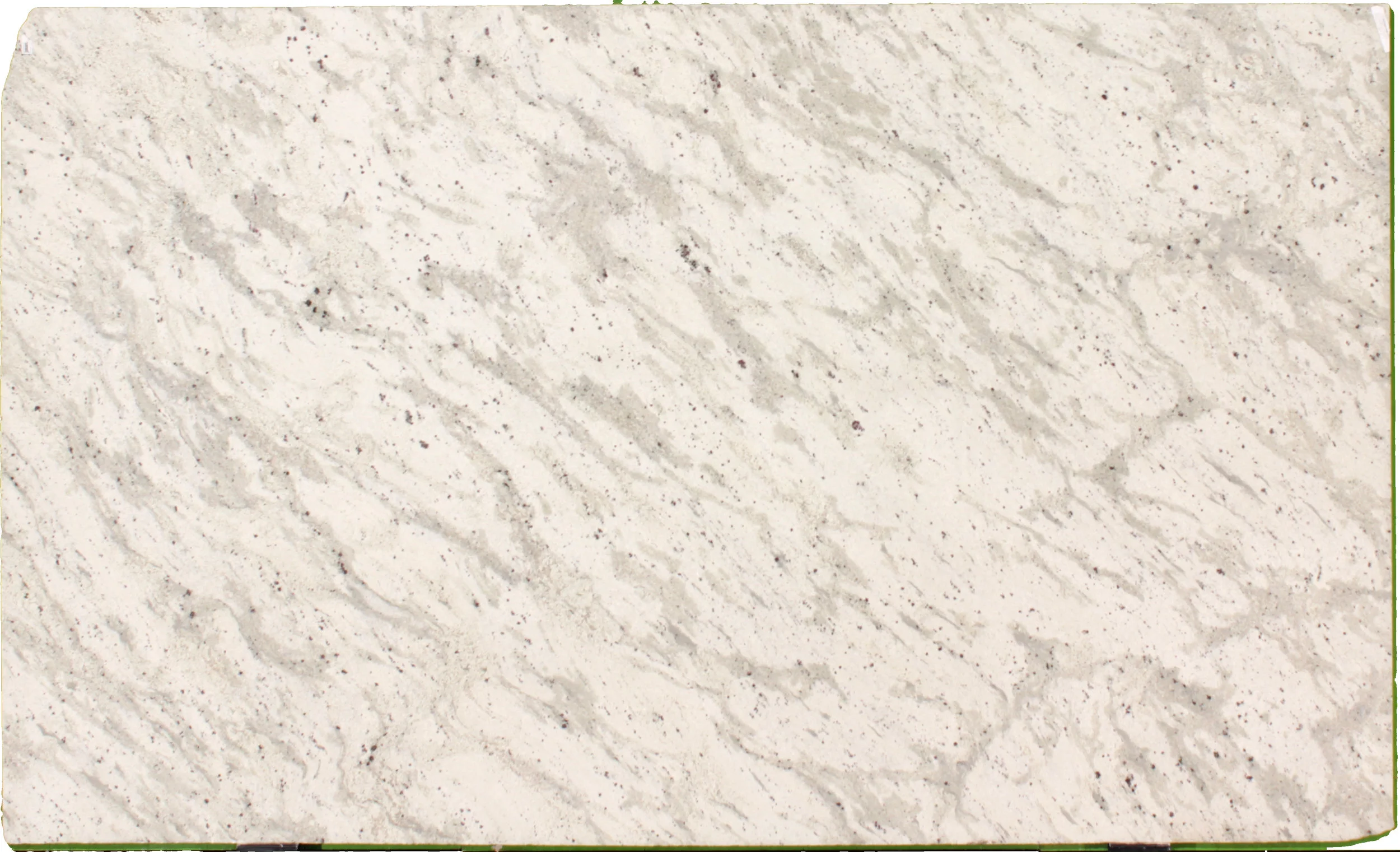 Andromeda White