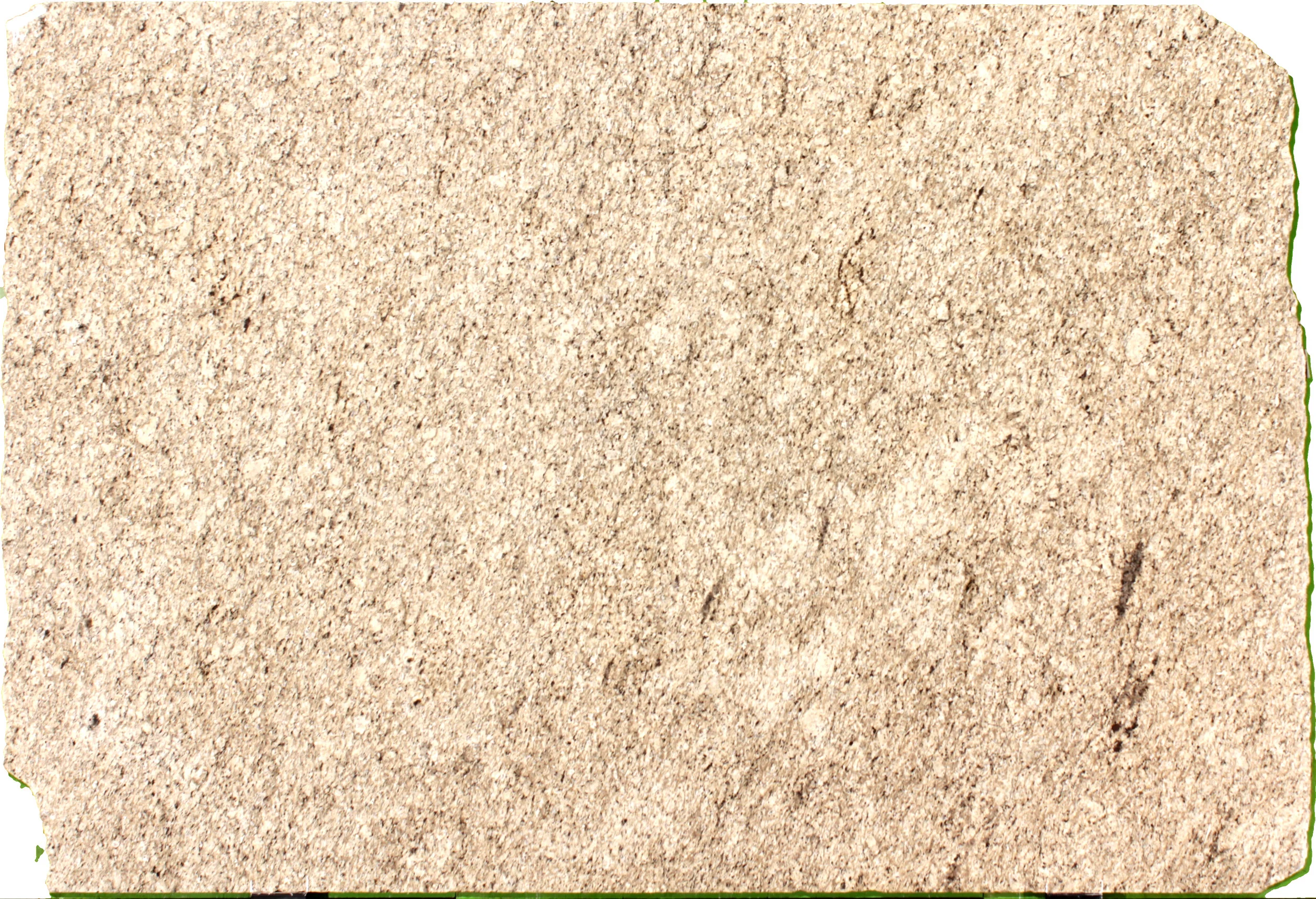 Giallo Ornamental