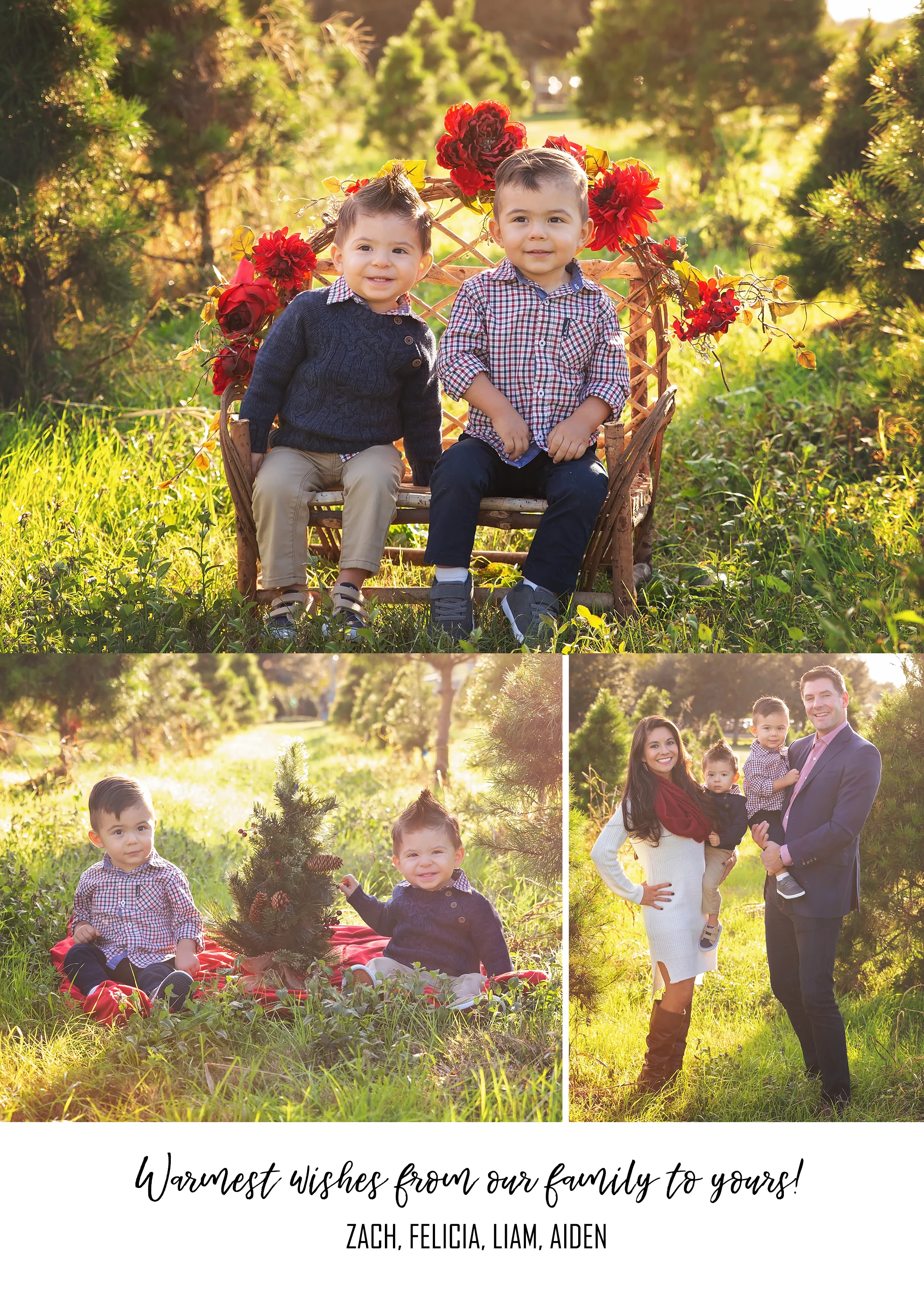 7x5 Pano Card Inside (1).jpg