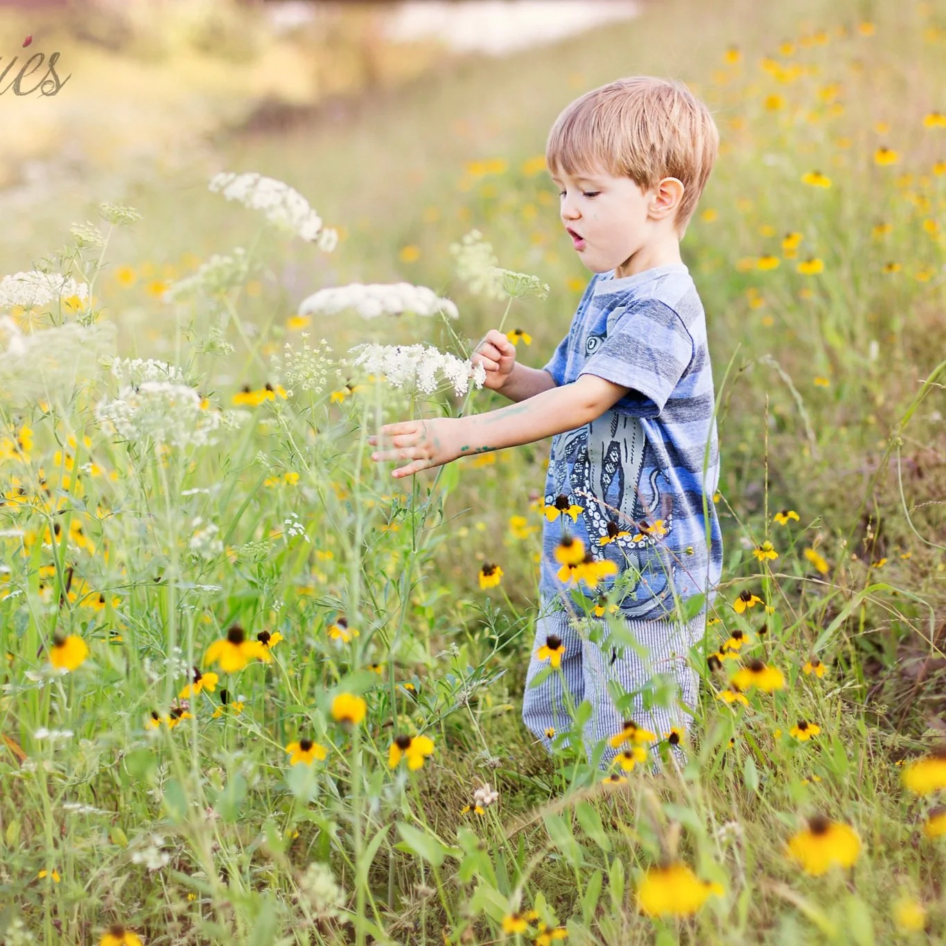 lifestyle child photos in Houston