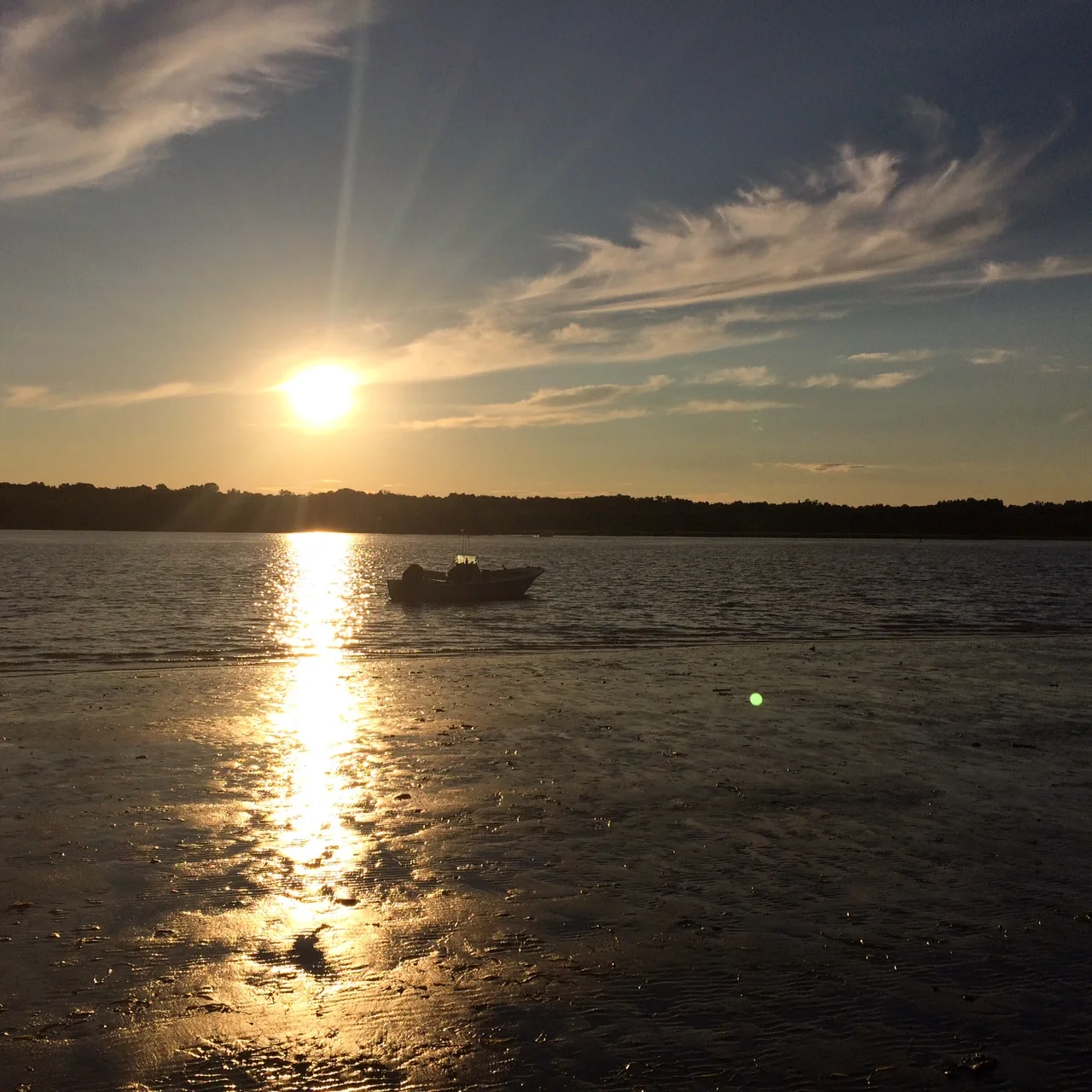 Brainstorming on the Hudson River with Margot Becker in July. We traveled to this beach by boat.