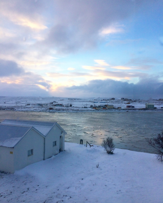 View from the studio window. 