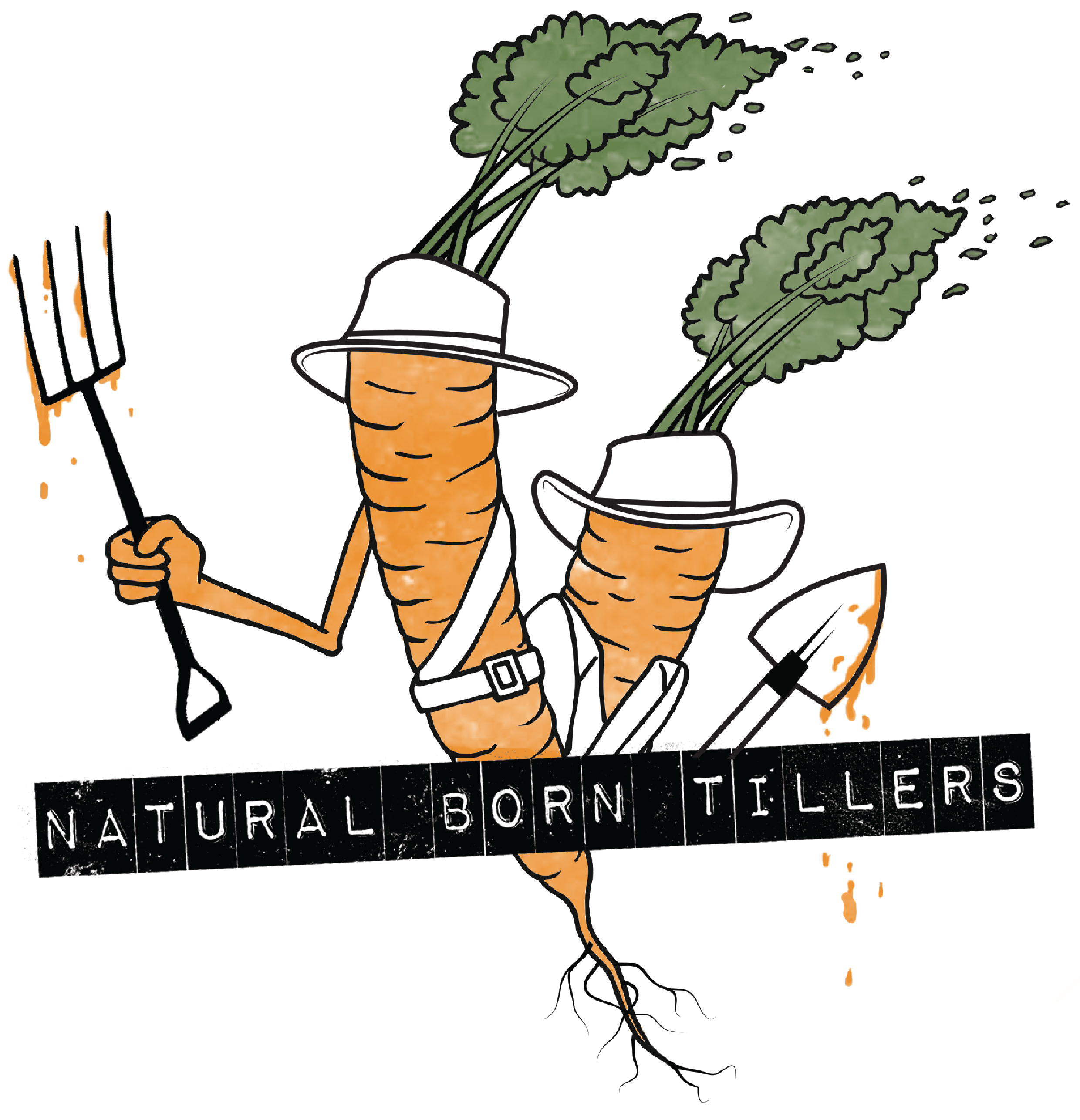 NBTCarrot.png
