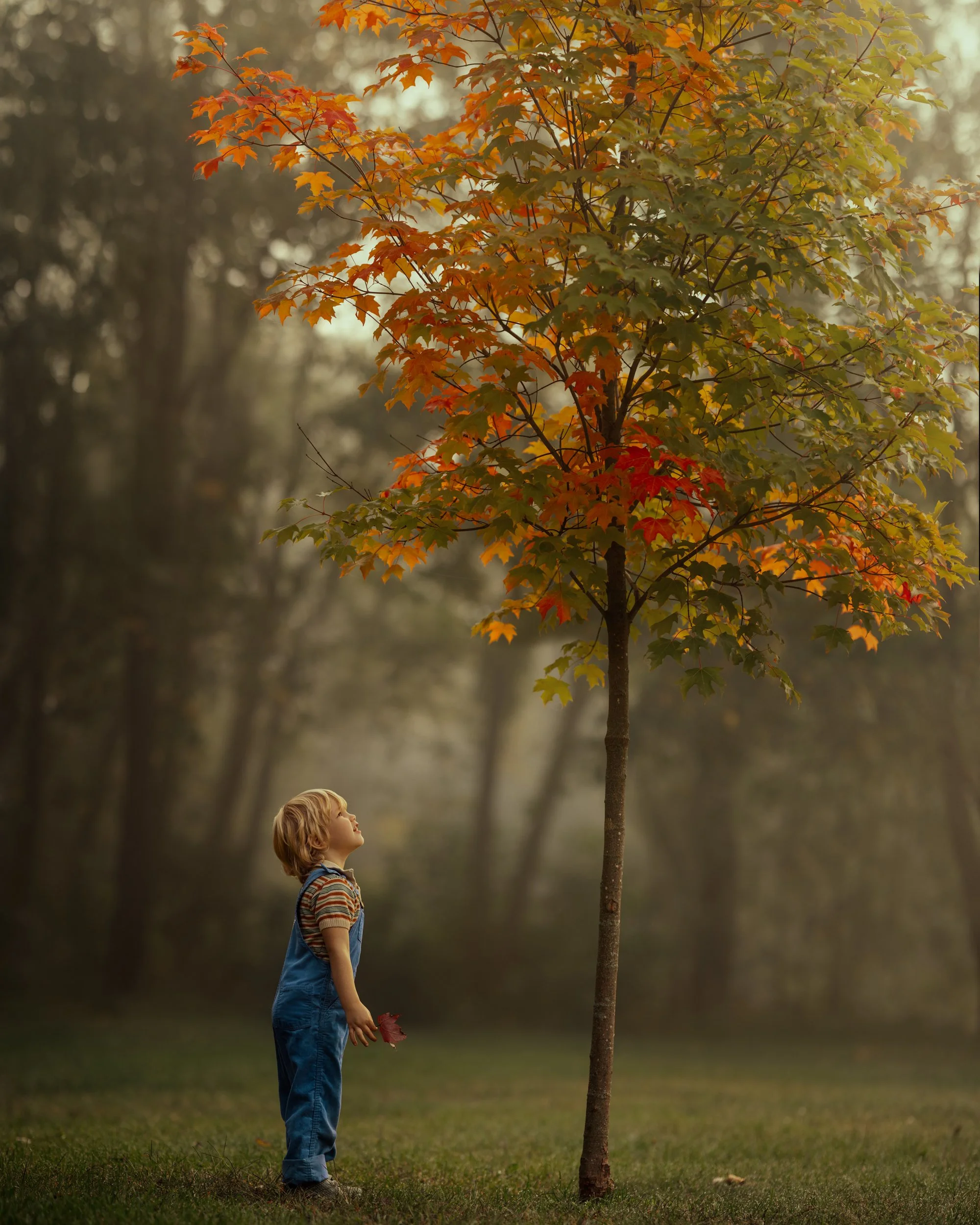 8K6A5084-Edit-Edit.jpg